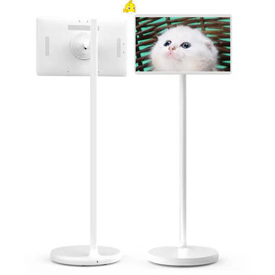 21.5 inch Floor Standing Smart TV Lcd Smart Display Indoor Android 12 Standby Me TV